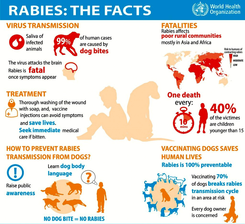World Health Organisation What you need to know about rabies.